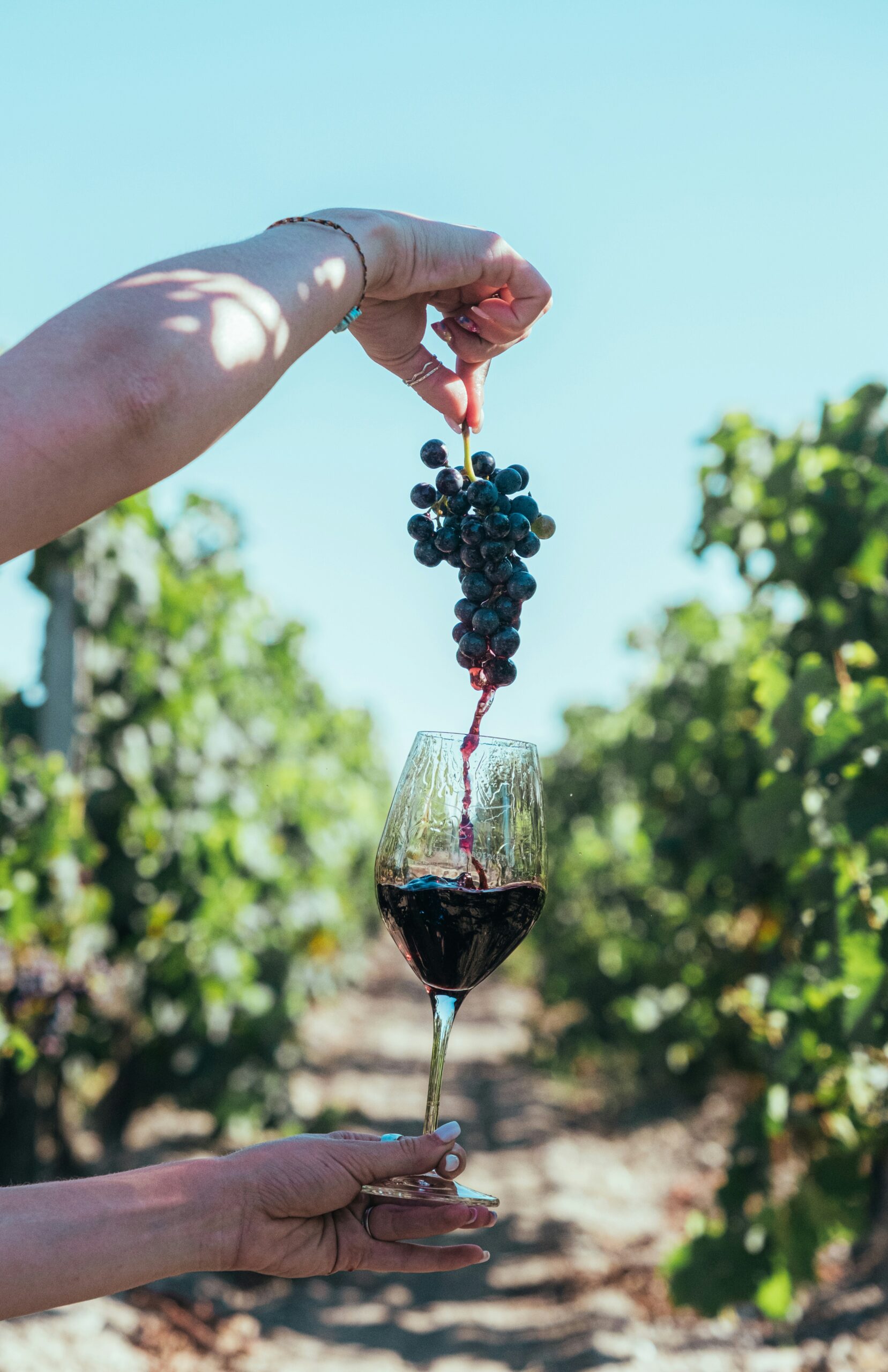 Wine